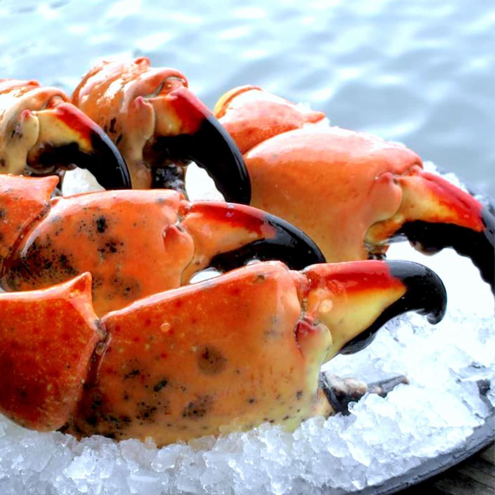 Stone Crab Claws, Large