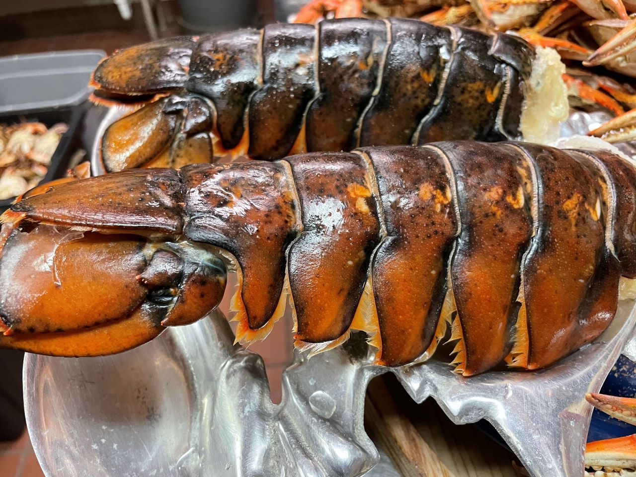 Maine Cold Water Lobster Tails, 8-10 oz.