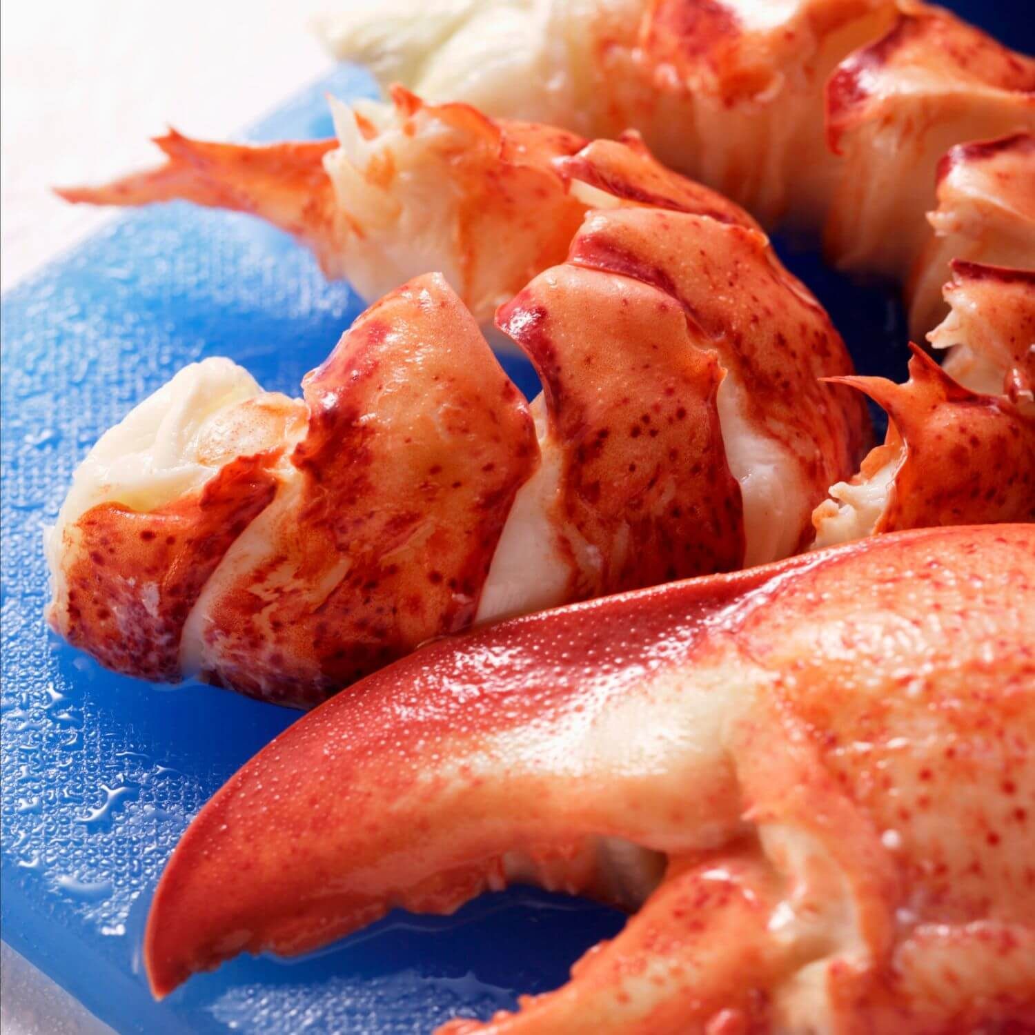 Fresh Lobster Meat, Knuckle & Claw, 1 lb