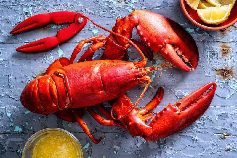 Cooked Maine Lobster (1¼ lb Pre-Cooked), 10 Pack