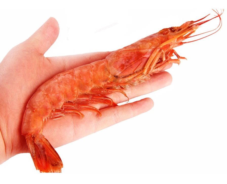 Wild Prawns, Head On, 6-7 Ct. Chem Free, 1 lb