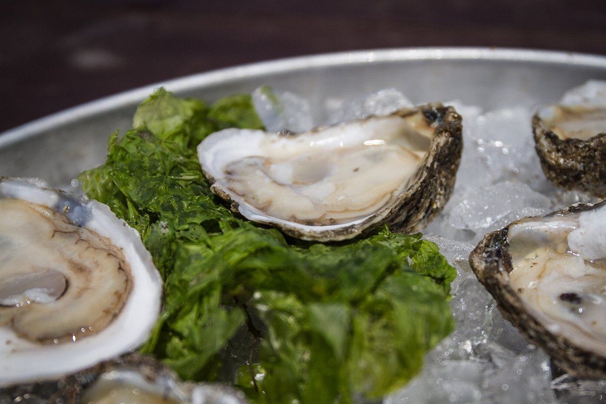 Chesapeake Bay Blue Point Oysters