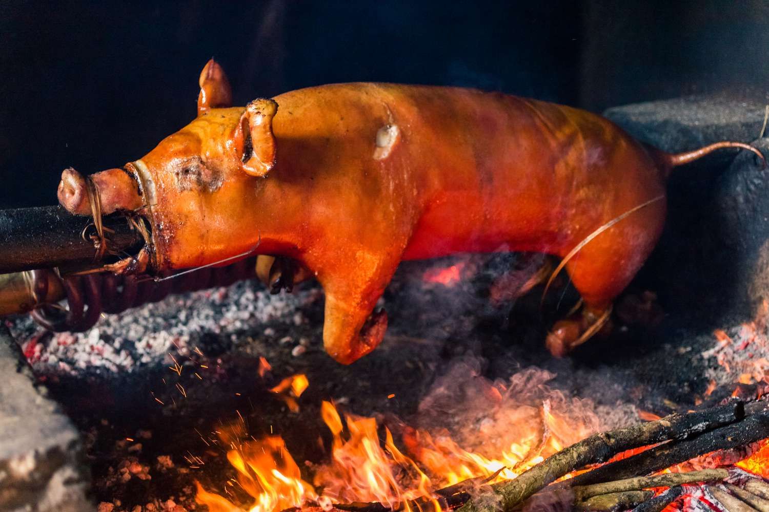Suckling Pig, Whole Roasting Pig