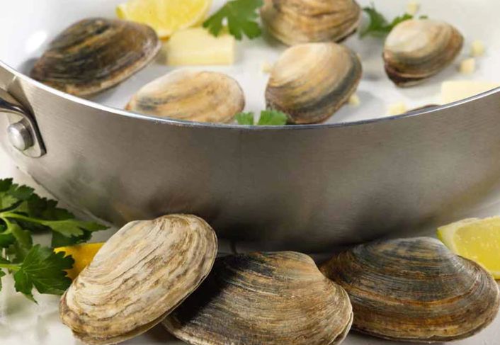 STEAMER CLAMS - 1LB STEAMER CLAMS - 1LB