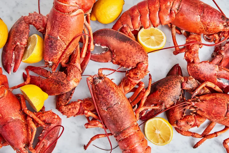 Cooked Maine Lobster (1¼ lb Pre-Cooked), 3 PCS ($35.33 each)