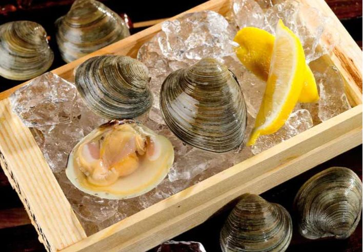 LITTLENECK CLAMS - DOZEN LITTLENECK CLAMS - DOZEN