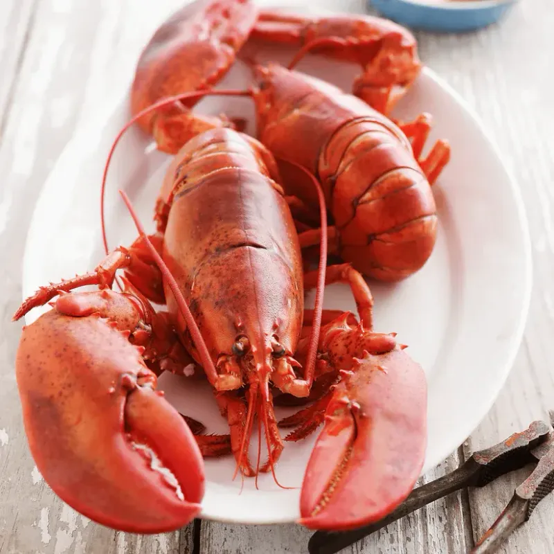 Surf n Turf Bundle - Whole Lobster and 10 oz Rib Eye Steak