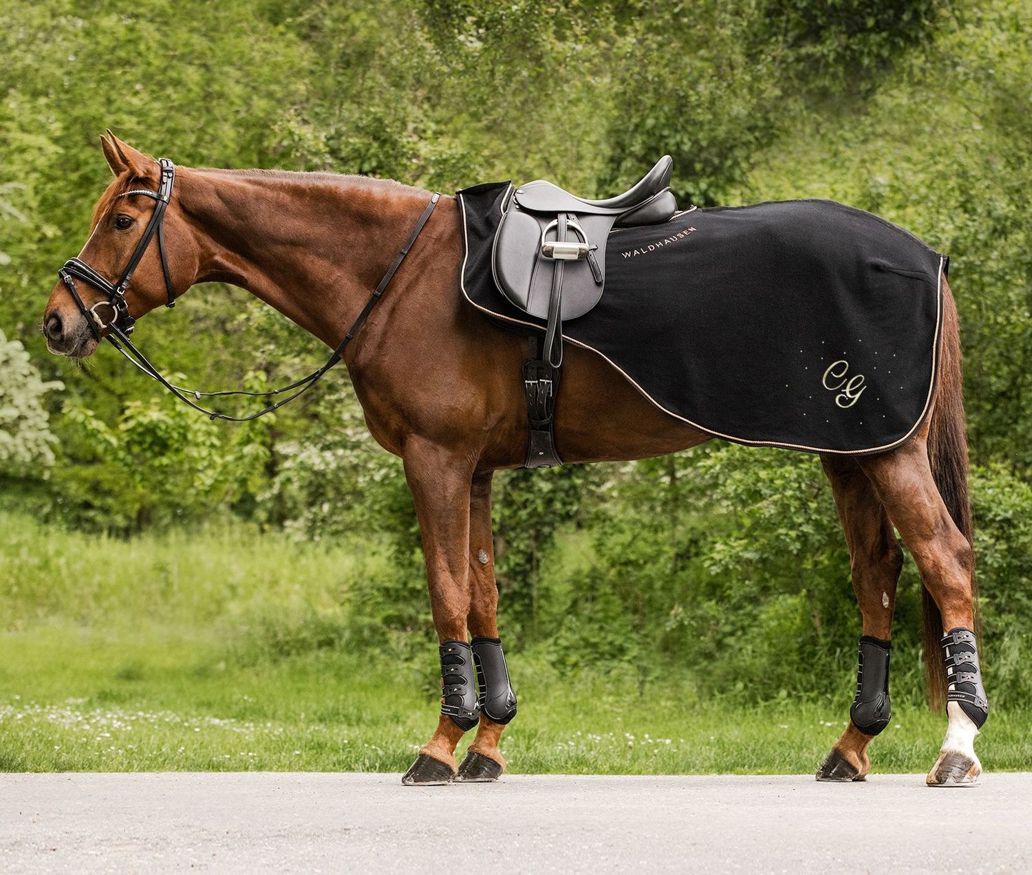 Ausreitdecke MODERN ROSE schwarz  by WALDHAUSEN
