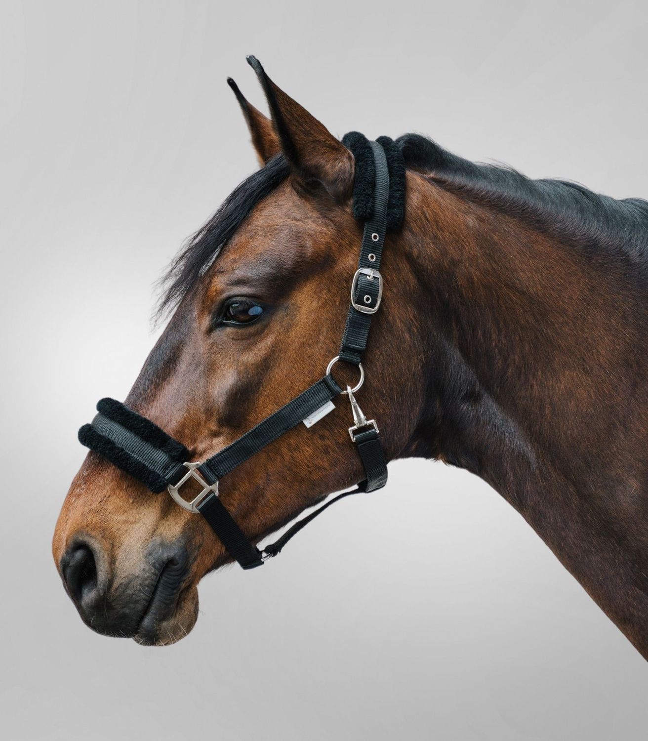 Halfter FIRST schwarz  by Waldhausen