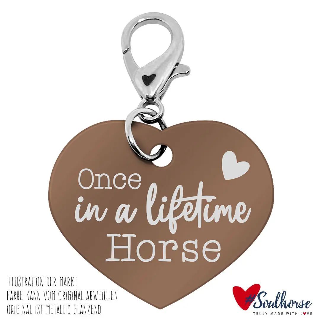 Soulhorse-Marke ONCE IN A LIFETIME HORSE