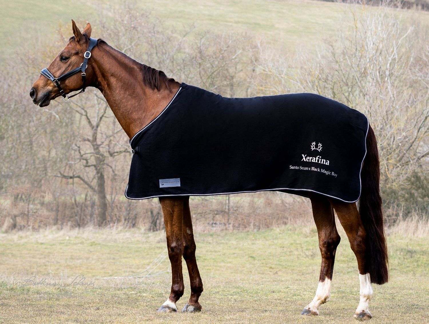 Fleecedecke "SHOWTIME" schwarz  by WALDHAUSEN