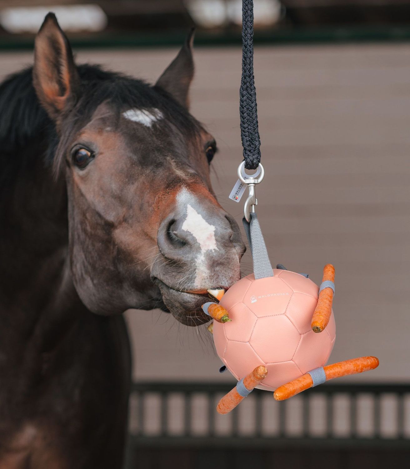 Karottenball linnea pink by Waldhausen