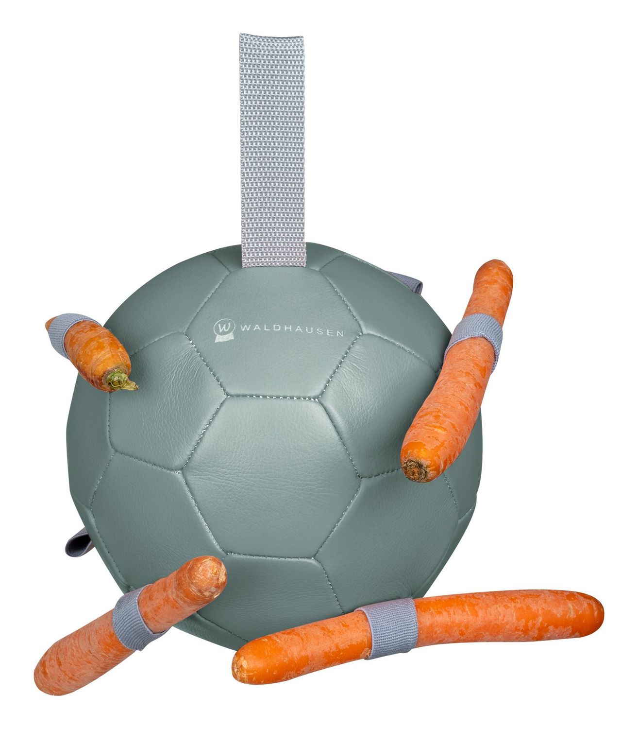 Karottenball mistel  by Waldhausen
