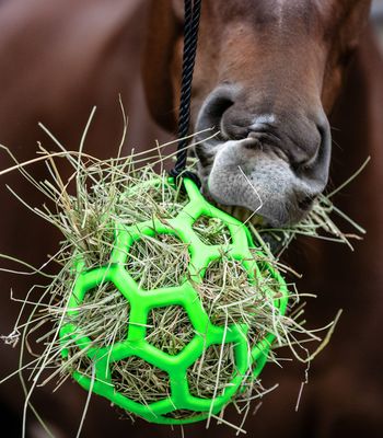 Heuball by Waldhausen Heuball by Waldhausen