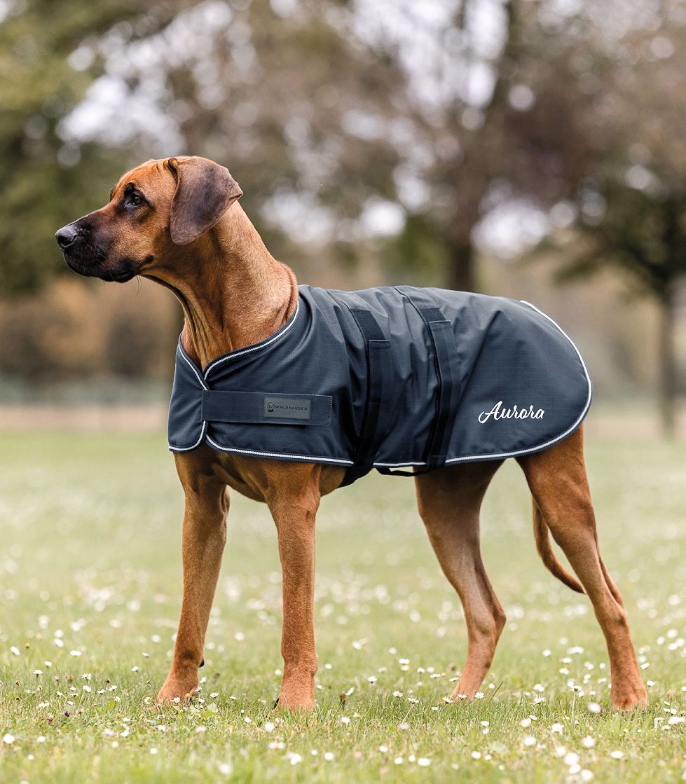 Regen-Hundemantel marine  optinonal mit Wunschnamen by Waldhausen