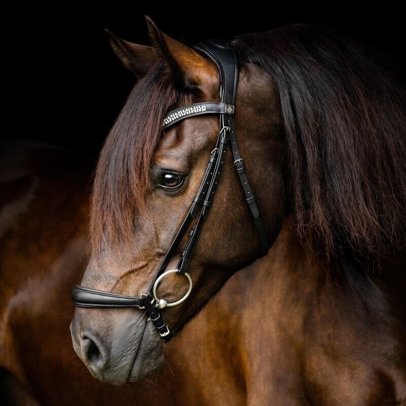 Drop noseband black by SD Design Drop noseband black by SD Design