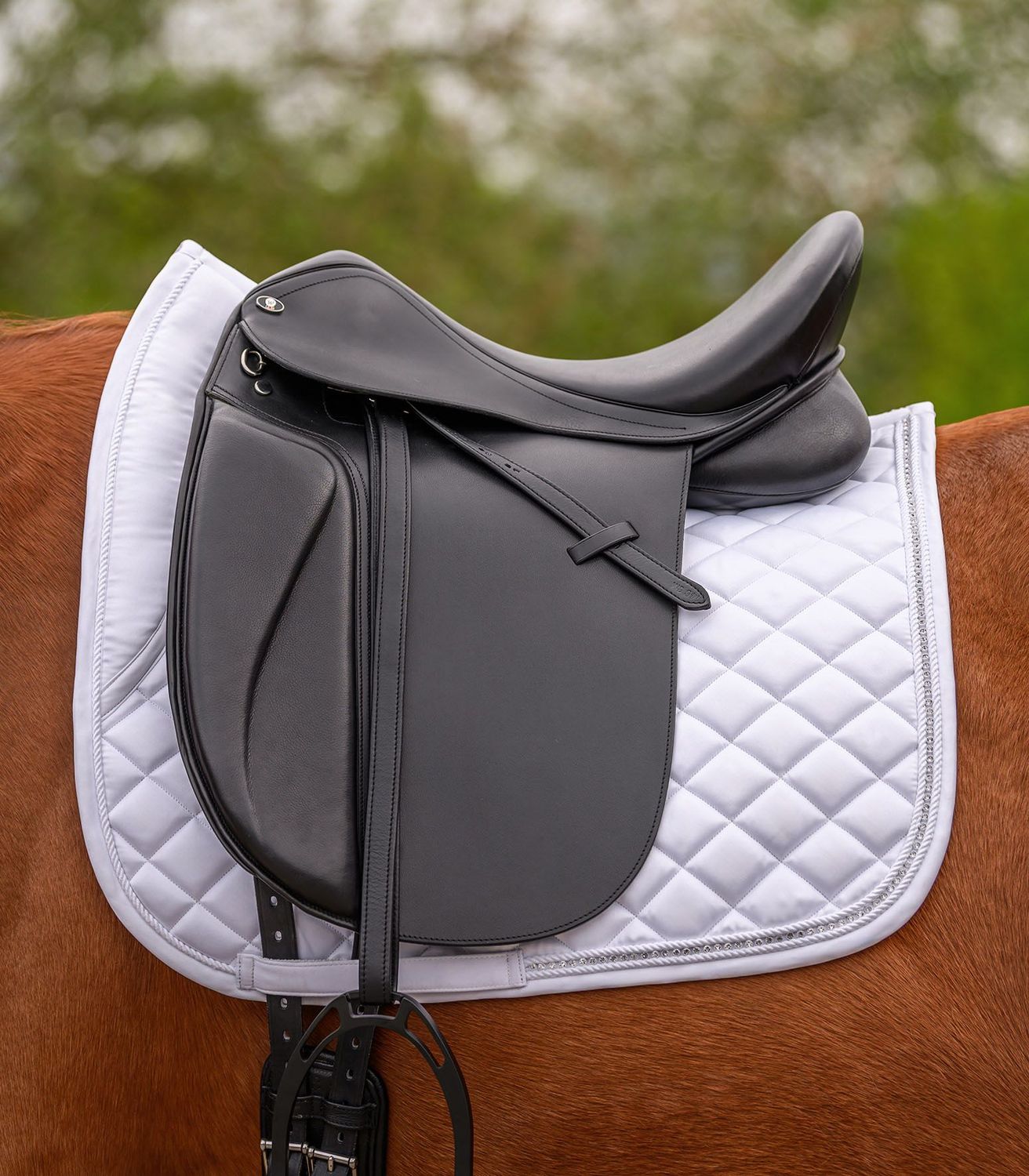 Schabracke Nepal, Waldhausen, weiß, Strass, Pferd, Pony, Dressurschabracke, Schabracke, Turnier,