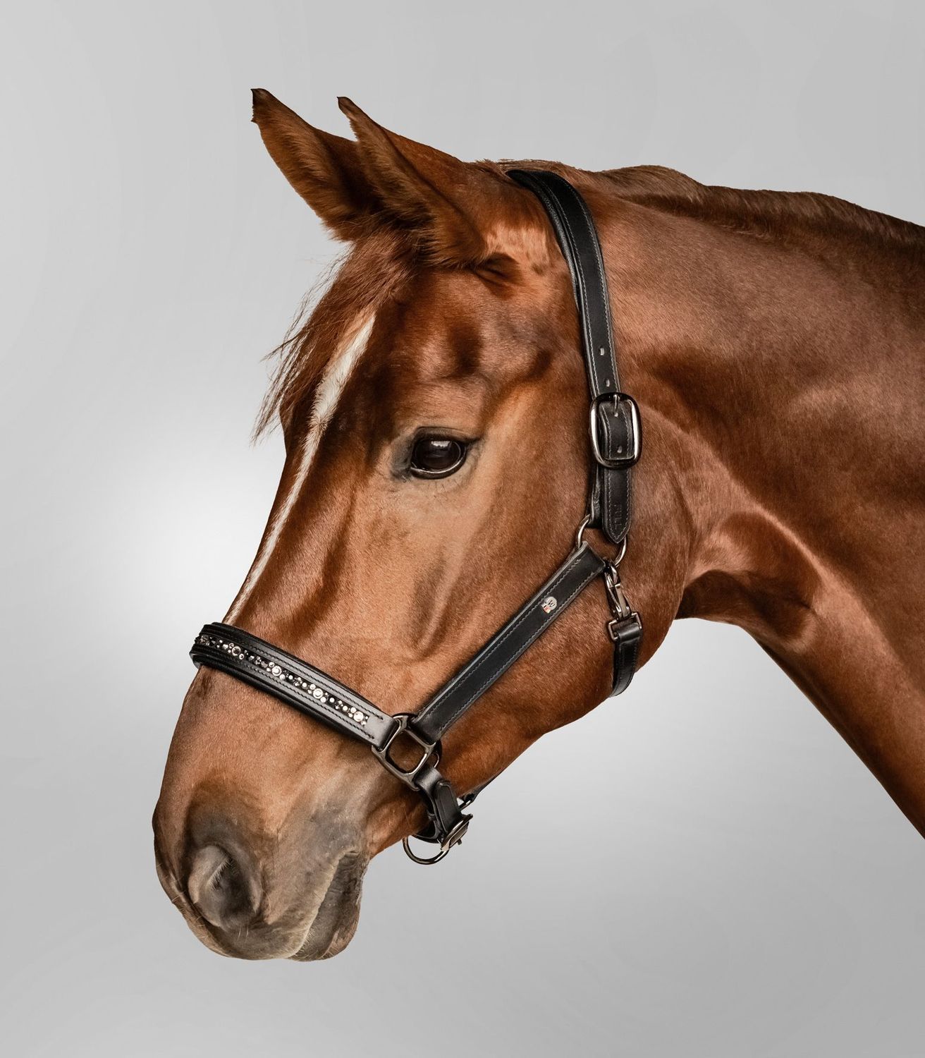 Waldhausen X-Line Lederhalfter Crystal   schwarz/grau