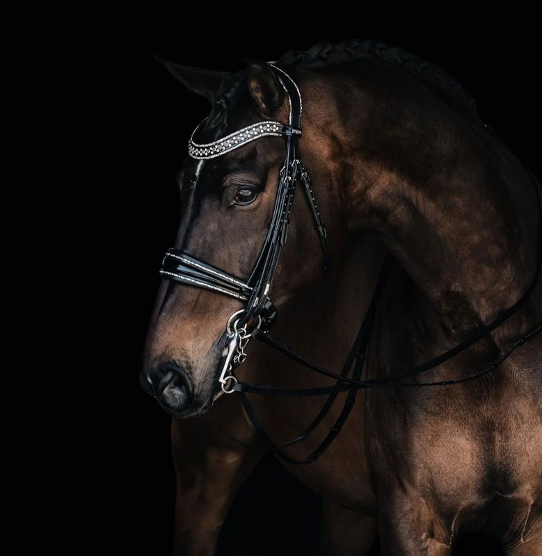Kandare JOHNNY by MRS ROS Kandare ,Johnny, Mrs Ros, Trense, Glitzerbiese, Pferd, Dressur, Pony, Strass