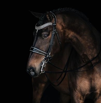 Kandare JOHNNY by MRS ROS Kandare ,Johnny, Mrs Ros, Trense, Glitzerbiese, Pferd, Dressur, Pony, Strass