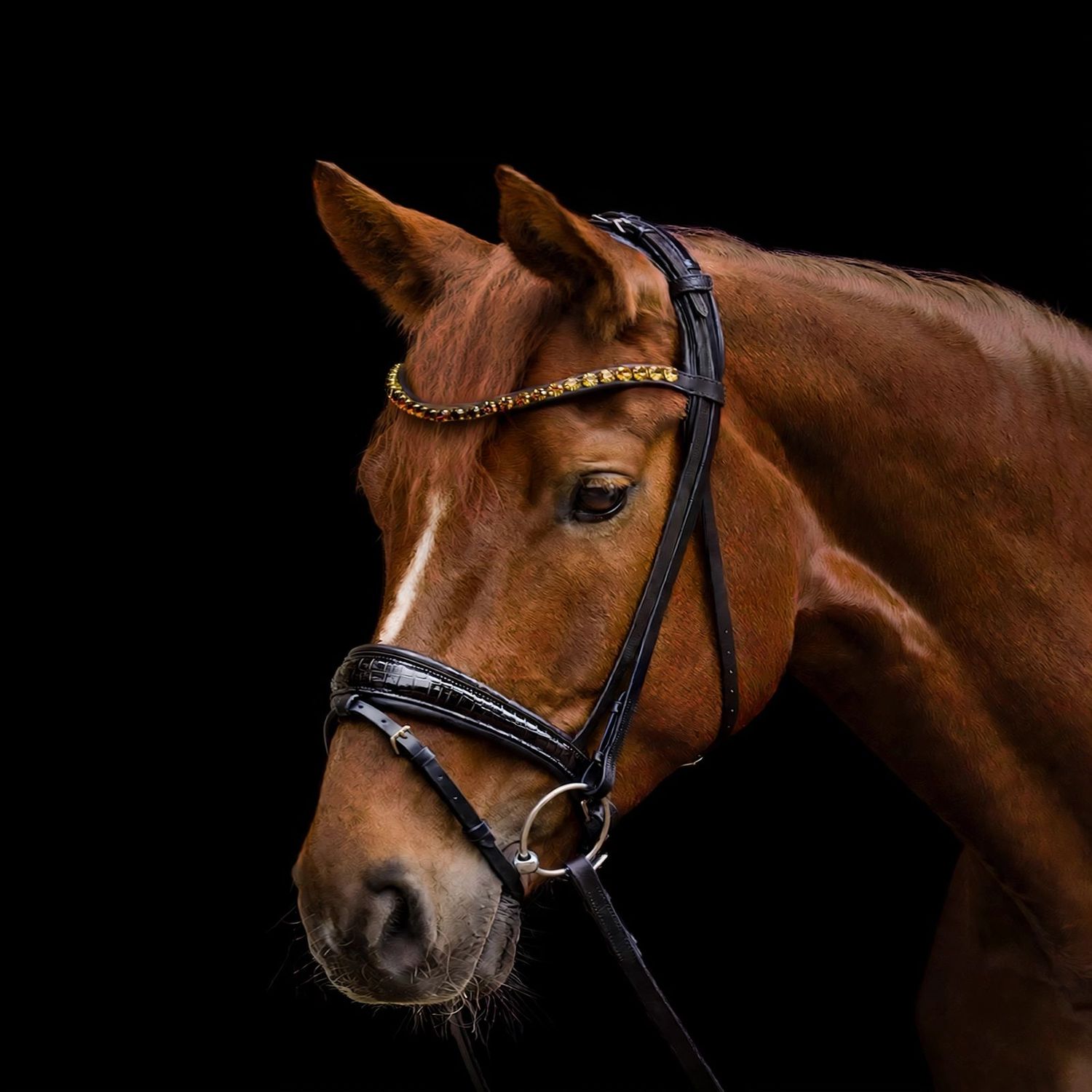 Trense MAGIC S-Line by Waldhausen Trense Magic, Waldhausen, Pferd, Pony, Vollblut, Genickverschluß