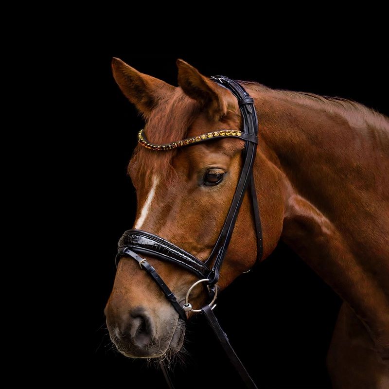 Trense MAGIC S-Line by Waldhausen Trense Magic, Waldhausen, Pferd, Pony, Vollblut, Genickverschluß