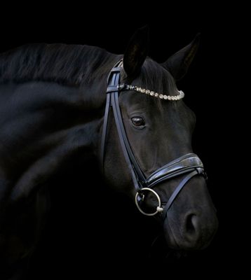 Trense MAGIC  S-Line , Waldhausen, Pferd, Pony, Stirnriemen