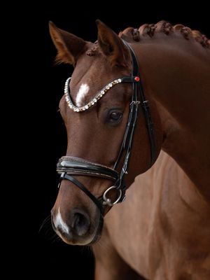 Trense, Kieffer, Georg Kieffer, Sienna, Pferd, Pony, Sattlerei Kieffer, 