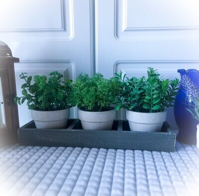 3 potted faux herbs with rustic garden tray