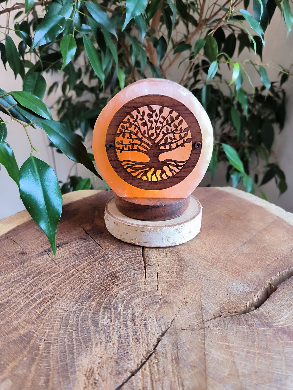 Lampe de Sel de l’Himalaya USB – Arbre de Vie | Veilleuse naturelle apaisante