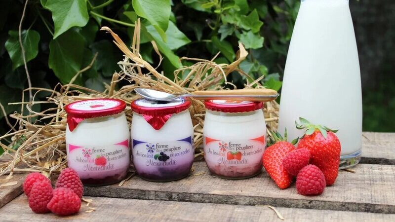 yaourt fruits rouge ou nature