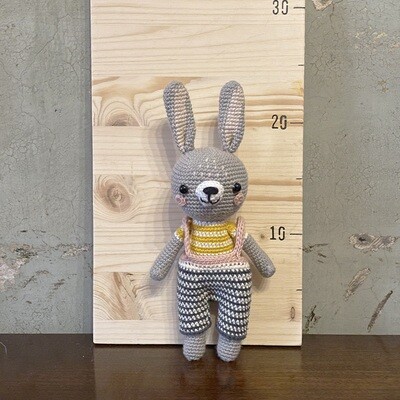 Il coniglio Gilbert 🐰