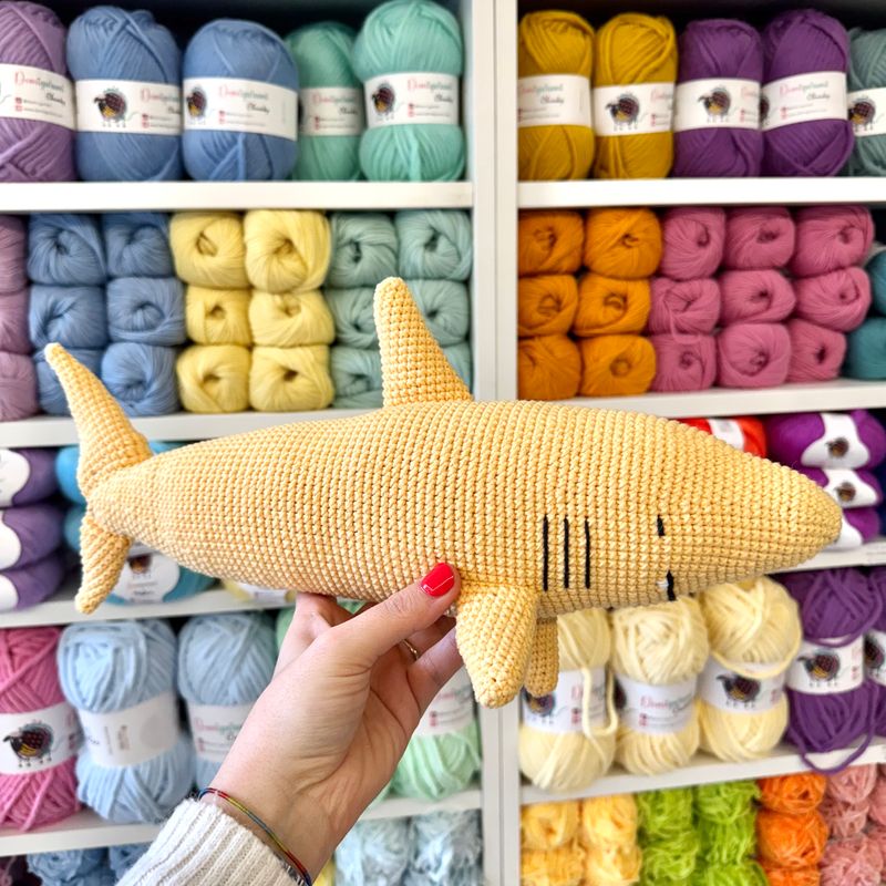 Pasqualo 🦈  PDF ITA