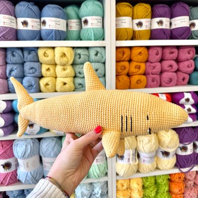 Pasqualo 🦈  PDF ITA