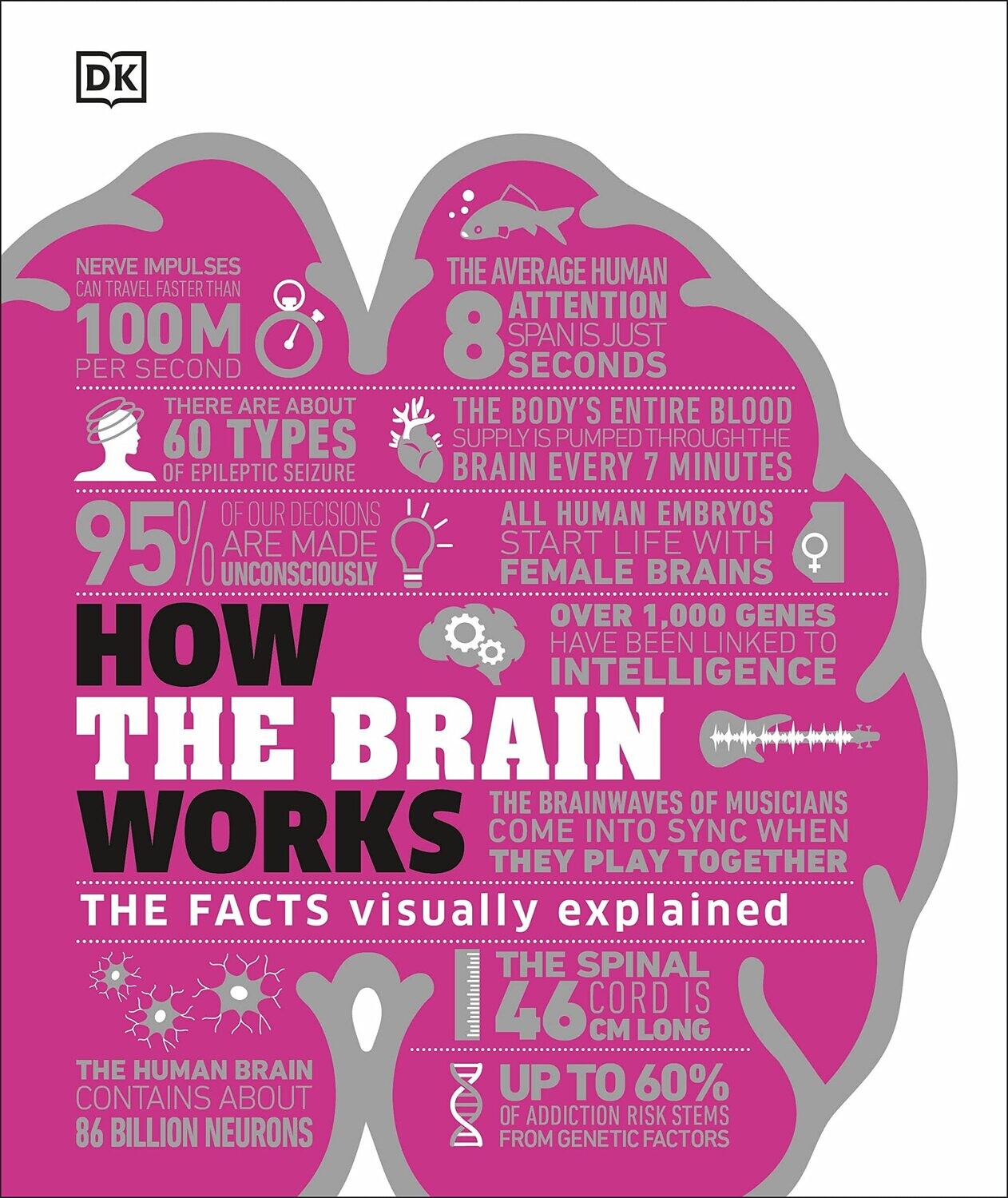 How The Brains Work
