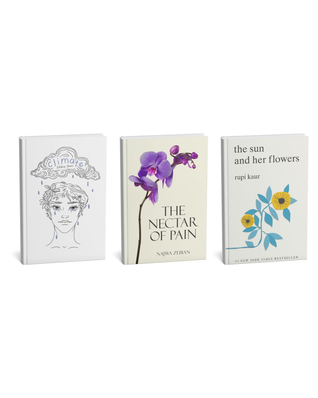 Poetry Bundle (3 Books)
