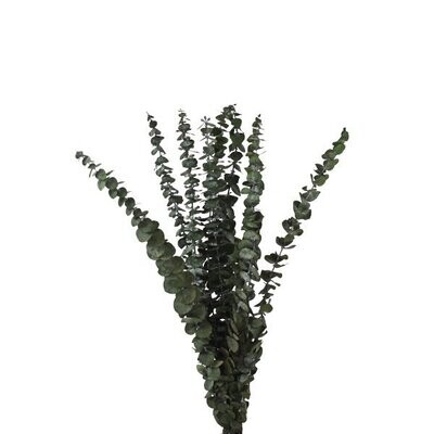 Trockenblumen