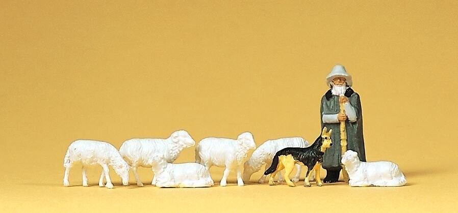 Moutons et berger