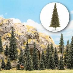 15 supers sapins