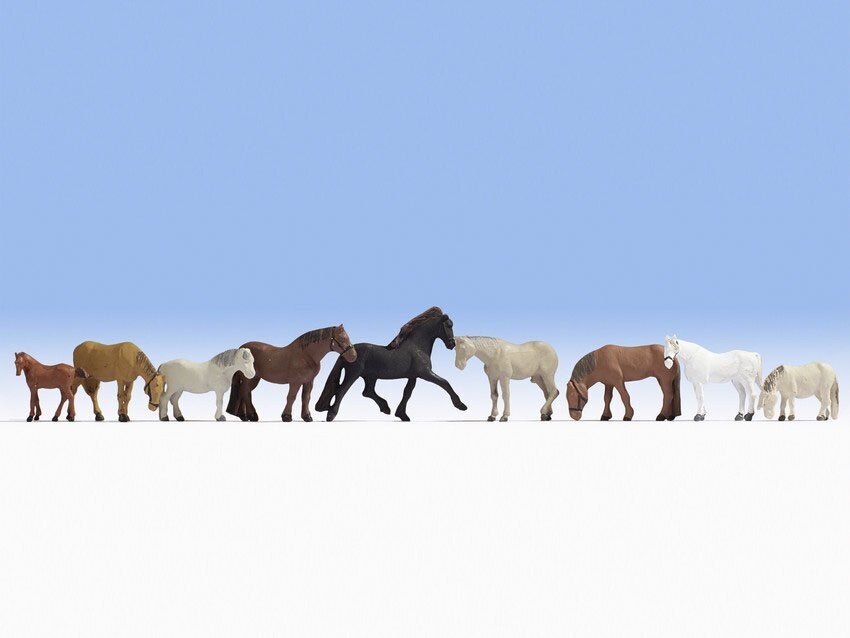 Chevaux