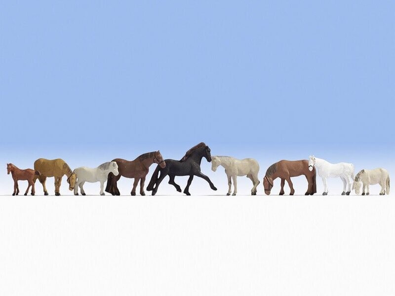 Chevaux