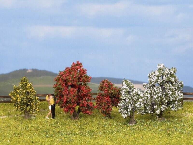 Arbustes en fleurs