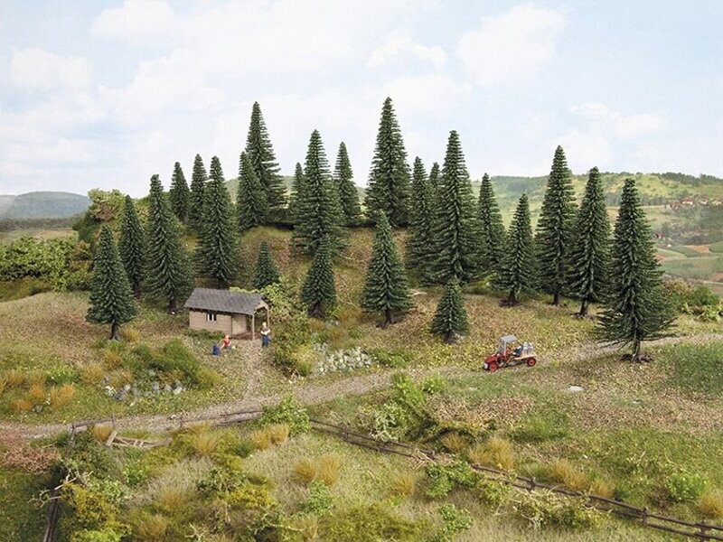 10 Sapins