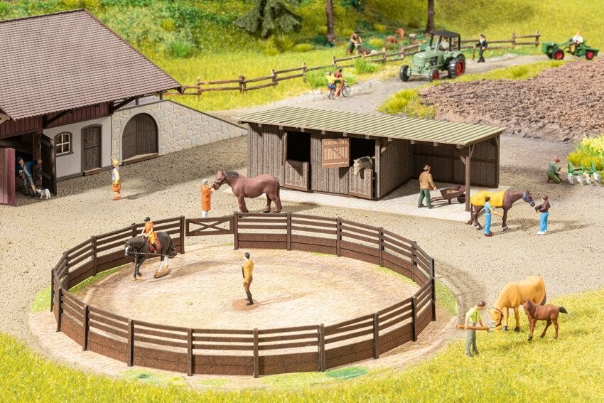 Manège micro-motion avec boxes à chevaux