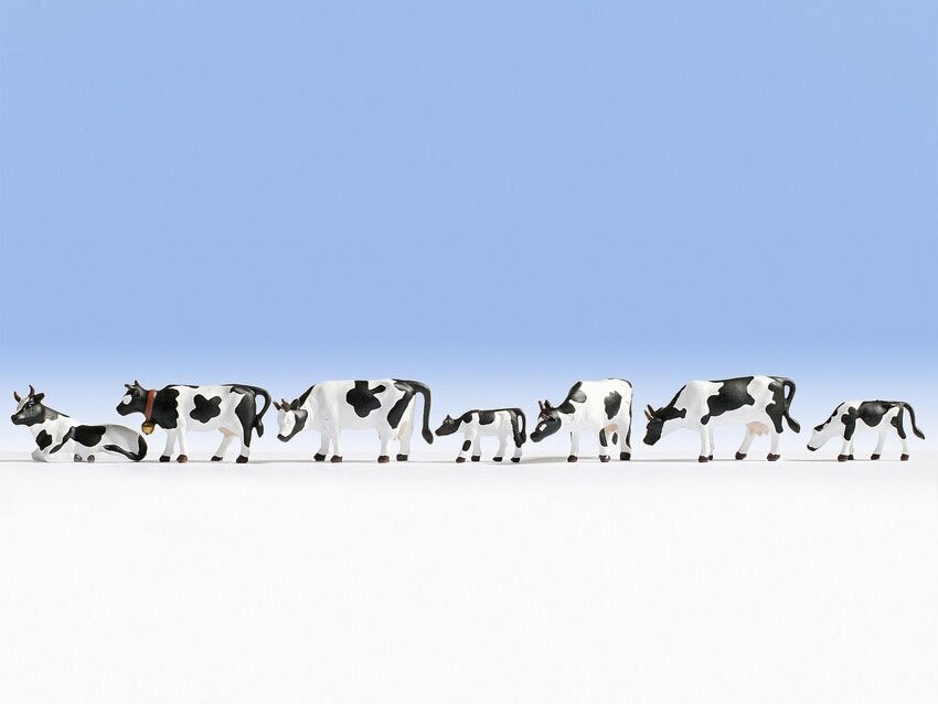 Vache, noir-blanc