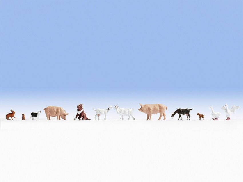 Animaux à la ferme