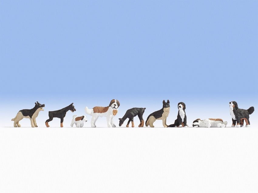 Chiens