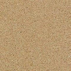 Gravier beige