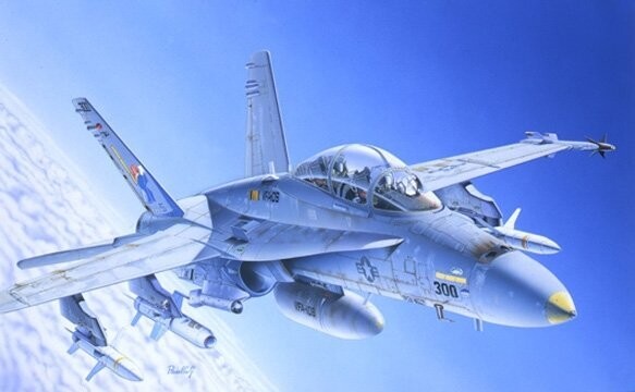 F/A-18C/D Wild Weasel