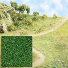 Flocage vert clair